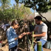 Actividad comunitaria 4