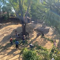 Actividad comunitaria 8